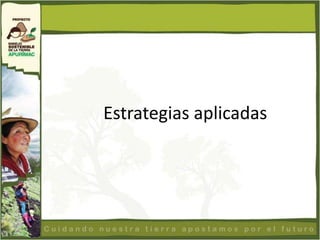 Estrategias aplicadas
 