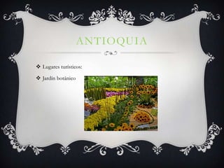 ANTIOQUIA

 Lugares turísticos:

 Jardín botánico
 