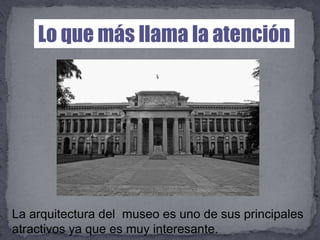 Proyecto Museo De Prado