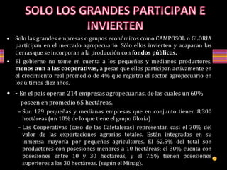 • Solo las grandes empresas o grupos económicos como CAMPOSOL o GLORIA
participan en el mercado agropecuario. Sólo ellos invierten y acaparan las
tierras que se incorporan a la producción con fondos públicos.
• El gobierno no tome en cuenta a los pequeños y medianos productores,
menos aun a las cooperativas, a pesar que ellos participan activamente en
el crecimiento real promedio de 4% que registra el sector agropecuario en
los últimos diez años.
• - En el país operan 214 empresas agropecuarias, de las cuales un 60%
poseen en promedio 65 hectáreas.
– Son 129 pequeñas y medianas empresas que en conjunto tienen 8,300
hectáreas (un 10% de lo que tiene el grupo Gloria)
– Las Cooperativas (caso de las Cafetaleras) representan casi el 30% del
valor de las exportaciones agrarias totales. Están integradas en su
inmensa mayoría por pequeños agricultores. El 62.5% del total son
productores con posesiones menores a 10 hectáreas; el 30% cuenta con
posesiones entre 10 y 30 hectáreas, y el 7.5% tienen posesiones
superiores a las 30 hectáreas. (según el Minag).
 