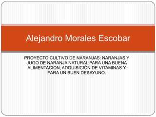 Alejandro Morales Escobar

PROYECTO CULTIVO DE NARANJAS: NARANJAS Y
 JUGO DE NARANJA NATURAL PARA UNA BUENA
 ALIMENTACION, ADQUISICIÓN DE VITAMINAS Y
         PARA UN BUEN DESAYUNO.
 