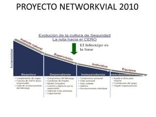 PROYECTO NETWORKVIAL 2010
 