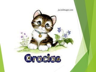 Proyecto nidia y yera