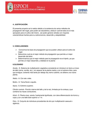 4. JUSTIFICACIÓN:
El presente proyecto se lo realizo debido a la existencia de varios métodos de
propagación del nogal, para poder así estudiarlos y deducir cuál de todos es el más
apropiado para el cultivo del mismo , así poder generar arboles con mayores
características fuertes para su sobrevivencia, desarrollo y adaptabilidad.
5. CONCLUSIONES:
 Conocimos los tipos de propagación que se pueden utilizar para el cultivo de
nogal.
 Deducimos cual es el mejor método de propagación que permita un mejor
desarrollo del árbol.
 Determinamos que el mejor método para la propagación es el injerto, ya que
permite un mejor desarrollo y vitalidad en la planta
6.GLOSARIO
Acodo.- S. Sistema de multiplicación vegetativa consistente en introducir en tierra un trozo
de tallo (rarna, rarnilla, etc.), sin separar de la planta madre y con el extremo libre, para
que arraigue; cortando más tarde por debajo de¡ tramo cubierto, se obtiene una nueva
planta.
Alado.- A. Con ala o alas.
Botón.- S. Yema floral o capullo.
Apice.- S. Extremo superior.
Cilindro central.- Porción interna del tallo y de la raíz, limitada por la corteza y que
contiene los haces conductores.
Arbol.- S. Planta vivaz, erecta, fuertemente lignificada, con clara diferenciación de tronco y
copa y con una talla total superior a 7 m.
Clon.- S. Conjunto de individuos procedentes de otro por multiplicación asexual o
agámica.
 