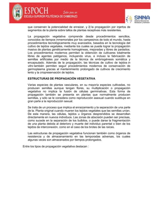 que conserven la potencialidad de enraizar, y 3) la propagación por injertos de
segmentos de la planta sobre tallos de plantas receptivas más resistentes.
La propagación vegetativa comprende desde procedimientos sencillos,
conocidos de tiempos inmemoriales por los campesinos de todo el mundo, hasta
procedimientos tecnológicamente muy avanzados, basados en la tecnología del
cultivo de tejidos vegetales, mediante los cuales se puede lograr la propagación
masiva de plantas genéticamente homogéneas, mejoradas y libres de parásitos.
Los procedimientos modernos permiten la obtención de cultivares totalmente
libres de agentes patógenos, incluyendo virus, e incluso la fabricación de
semillas artificiales por medio de la técnica de embriogénesis somática y
encapsulado. Además de la propagación, las técnicas de cultivo de tejidos in
vitro también permiten seguir procedimientos modernos de conservación de
germoplasma gracias al mantenimiento prolongado de cultivos de crecimiento
lento y la criopreservación de tejidos.
ESTRUCTURAS DE PROPAGACIÓN VEGETATIVA
Varias especies de plantas vasculares, en su mayoría especies cultivadas, no
producen semillas aunque tengan flores, su multiplicación o propagación
vegetativa no implica la fusión de células germinativas. Esta forma de
propagación también se presenta en plantas que normalmente producen
semillas, y sólo se le considera como reproducción asexual cuando sustituye en
gran parte a la reproducción sexual.
Se trata de un proceso que implica el enraizamiento y la separación de una parte
de la. Planta original cuando mueren los tejidos vegetales que las semillas unían.
De esta manera, las células, tejidos u órganos desprendidos se desarrollan
directamente en nuevos individuos. Las zonas de abscisión pueden ser precisas,
como sucede en la separación de los bulbilos, o puede darse la fragmentación
de una planta debida al deterioro y muerte del individuo parental o bien de los
tejidos de interconexión, como en el caso de los brotes de las raíces.
Las estructuras de propagación vegetativa funcionan también como órganos de
resistencia y de almacenamiento en las temporadas adversas, los cuales
algunas veces son almacenados por tiempos prolongados.
Entre los tipos de propagación vegetativa destacan :
 