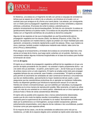 En Botánica, una estaca es un fragmento de tallo con yemas (o esqueje) de consistencia
leñosa que se separa de un árbol o de un arbusto y se introduce en el suelo o en un
sustrato para que arraigue en él y forme una nueva planta. Las estacas, por consiguiente,
son un medio para la propagación vegetativao asexual de muchas variedades y especies
arbóreas y arbustivas. El proceso de cortar la estaca y plantarla para su
posterior enraizamiento se denominaestaquillado. Se trata de una clonación: la estaca es
genéticamente idéntica a la planta madre. Si la estaca es de pequeñas dimensiones o se
realiza con un fragmento semileñoso de una planta se denomina estaquilla.1
Algunas de las especies en las que el estaquillado se usa frecuentemente para la
propagación vegetativa son los sauces (Salix), los álamos (Populus), el tilo (Tilia). En
general, las especies con madera blanca y ligera se prestan con mayor facilidad para esta
operación, enraizando y brotando rápidamente a partir de estacas. Otras, cuya madera es
dura y resinosa, también pueden multiplicarse mediante este método, tales como los
pinos (Pinus) y abetos(Abies).
Para asegurar el enraizamiento y el brotado de la estaca es conveniente dejar dos o tres
yemas en la base de la misma, que luego serán cubiertas con el sustrato. Asimismo, es
conveniente realizar algunas incisiones longitudinales en la base de la estaca para facilitar
la formación de raíces
3.1.1.3. El injerto
El injerto es un método de propagación vegetativa artificial de los vegetales en el que una
porción de tejido procedente de una planta —la variedad o injerto propiamente dicho— se
une sobre otra ya asentada —el patrón, porta injertó o pie—, de tal modo que el conjunto
de ambos crezca como un solo organismo. El injerto se emplea sobre todo para propagar
vegetales leñosos de uso comercial, sean frutales u ornamentales.1
El injerto se emplea
para permitir el crecimiento de variedades de valor comercial en terrenos o circunstancias
que les son desfavorables, aprovechando la mayor resistencia del pie usado, o para
asegurarse que las características productivas de un ejemplar se mantienen inalteradas,
frente a la dispersión genética que introduce la reproducción sexual. En el caso de
híbridos de número cromosómicoimpar, que son estériles por naturaleza, la propagación
vegetativa es la única manera de reproducción posible. Más raramente, el injerto se utiliza
para unir más de una variedad en un mismo patrón, obteniendo así un único ejemplar que
produce frutos o flores de varias características diferentes.
El injerto sólo es posible entre especies más o menos estrechamente relacionadas,
puesto que de otro modo los tejidos resultan incompatibles y la conexión vascular
necesaria para la supervivencia de la variedad no se realiza. Normalmente el límite está
dado por la pertenencia a un mismogénero, aunque existen excepciones; géneros
estrechamente emparentados, como algunos de las rutáceas o las cucurbitáceas, pueden
funcionar como pie para especies afines.
En la mayoría de los casos, una de las variedades se selecciona como raíz por su
resistencia, y el tallo de la especie elegida como variedad se injerta sobre esta base. En
 
