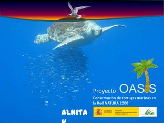 Proyecto      OASIS
         Conservación de tortugas marinas en
         la Red NATURA 2000

Alnita
 