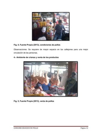CONSUMO EXCESIVO DE POLLO Página 12
Fig. 4, Fuente Propia (2013), condiciones de pollos
Observaciones: Se requiere de mayor espacio en los callejones para una mejor
circulación de las personas.
4.- Ambiente de crianza y venta de los productos
Fig. 5, Fuente Propia (2013), venta de pollos
 