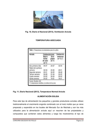 CONSUMO EXCESIVO DE POLLO Página 23
Fig. 10, Diario el Nacional (2013), Ventilación Avícola
TEMPERATURA ADECUADA
Fig. 11, Diario Nacional (2013), Temperatura Normal Avícola
ALIMENTACIÓN SOLIDA
Para este tipo de alimentación los pequeños y grandes productores avícolas utilizan
tradicionalmente el crecimiento engorde combinado con el maíz molido que ya viene
preparado y expendido en los locales del Mercado Sur de Machala y son los más
utilizados para la alimentación avícola aquí un resumen de las propiedades y
compuestos que contienen estos alimentos y luego les mostraremos el tipo de
 