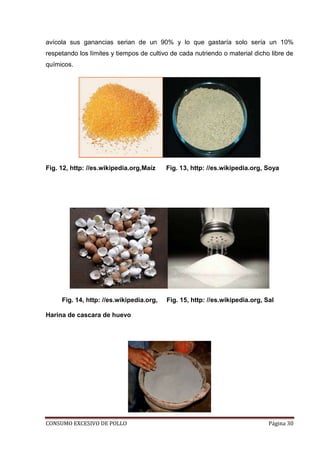 CONSUMO EXCESIVO DE POLLO Página 30
avícola sus ganancias serian de un 90% y lo que gastaría solo sería un 10%
respetando los límites y tiempos de cultivo de cada nutriendo o material dicho libre de
químicos.
Fig. 12, http: //es.wikipedia.org,Maíz Fig. 13, http: //es.wikipedia.org, Soya
Fig. 14, http: //es.wikipedia.org, Fig. 15, http: //es.wikipedia.org, Sal
Harina de cascara de huevo
 