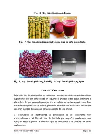 CONSUMO EXCESIVO DE POLLO Página 31
Fig. 16, http: //es.wikipedia.org,Ceniza
Fig. 17, http: //es.wikipedia.org, Extracto de jugo de caña o remolacha
Fig. 18, http: //es.wikipedia.org,FrejolFig. 19, http: //es.wikipedia.org,Agua
ALIMENTACIÓN LIQUIDA
Para este tipo de alimentacion los pequeños y grandes productores avicolas utilizan
suplementos que son almacenado en pequeños o grandes tolbas segun el tamaño o
etapa del pollo que convinados en agua son accesibles para estas aves de corral. Hay
que enfatizar que el 75% de estos suplementos estan hechos a base de quimicos que
dan gran cantidad de nutrientes para el desarrollo de este animal.
A continuacion les mostraremos la composicion de un suplemento muy
comercializado en el Mercado Sur de Machala por pequeños productores que
compran estos suplentos a industrias que se dedicacion a la creacion de estos
suplementos:
 
