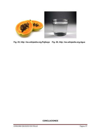 CONSUMO EXCESIVO DE POLLO Página 37
Fig. 25, http: //es.wikipedia.org,Pajibaye Fig. 26, http: //es.wikipedia.org,Agua
CONCLUCIONES
 