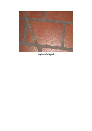 Trapecio Rectángulo
 