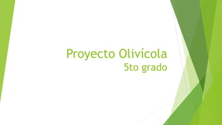 Proyecto Olivícola
5to grado
 