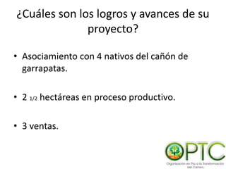 ¿Cuáles son los logros y avances de su
proyecto?
• Asociamiento con 4 nativos del cañón de
garrapatas.
• 2 1/2 hectáreas en proceso productivo.
• 3 ventas.
 
