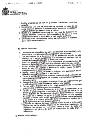 Ordre final Illes formigues