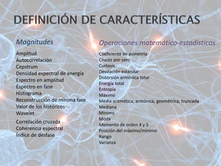 Magnitudes
Amplitud
Autocorrelación
Cepstrum
Densidad espectral de energía
Espectro en amplitud
Espectro en fase
Histograma
Reconstrucción de mínima fase
Valor de los históricos
Wavelet
Correlación cruzada
Coherencia espectral
Índice de desfase
Operaciones matemático-estadísticas
Coeficiente de asimetría
Cruces por cero
Curtosis
Desviación estándar
Distorsión armónica total
Energía total
Entropía
Máximo
Media aritmética, armónica, geométrica, truncada
Mediana
Mínimo
Moda
Momento de orden 4 y 5
Posición del máximo/mínimo
Rango
Varianza
 