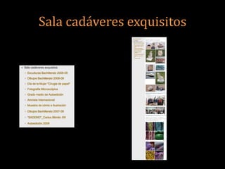 Sala cadáveres exquisitos
 