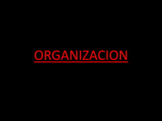 ORGANIZACION
 