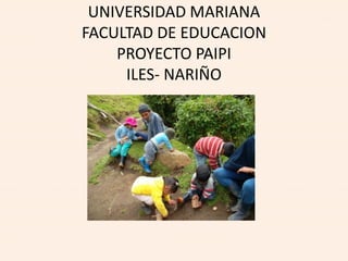 UNIVERSIDAD MARIANA
FACULTAD DE EDUCACION
    PROYECTO PAIPI
     ILES- NARIÑO
 