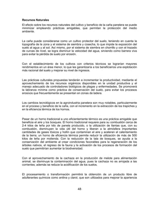 48
Recursos Naturales
El efecto sobre los recursos naturales del cultivo y beneficio de la caña panelera se puede
minimizar empleando prácticas amigables, que permitan la protección del medio
ambiente.
La caña puede considerarse como un cultivo protector del suelo, teniendo en cuenta la
topografía de la zona y el sistema de siembra y cosecha, lo que impide la exposición del
suelo al agua y al sol. Así mismo, por el sistema de siembra en chorrillo y con el trazado
de curvas de nivel, se logra disminuir la velocidad del agua, sirviendo como barrera viva
para evitar la pérdida de suelo por erosión.
Con el establecimiento de los cultivos con criterios técnicos se lograrían mayores
rendimientos en un área menor, lo que les garantizaría a los beneficiarios una explotación
más racional del suelo y mejorar su nivel de ingresos.
Las prácticas culturales propuestas tenderán a incrementar la productividad, mediante el
aprovechamiento de los recursos orgánicos disponibles en la unidad productiva y el
manejo adecuado de controladores biológicos de plagas y enfermedades. Se promoverá
la labranza mínima como práctica de conservación del suelo, para evitar los procesos
erosivos que frecuentemente se presentan en zonas de ladera.
Los cambios tecnológicos en la agroindustria panelera son muy notables, particularmente
en el proceso y beneficio de la caña, con el incremento en la extracción de los trapiches y
en la eficiencia térmica de los hornos.
Pasar de un horno tradicional a uno eficientemente térmico es una práctica amigable que
beneficia el aire y los bosques. El horno tradicional requiere para su combustión cerca de
2-4 kilos de leña por kilo de panela producido, o la utilización de llantas que, con su
combustión, disminuyen la vida útil del horno y liberan a la atmósfera importantes
cantidades de gases tóxicos y hollín que contaminan el aire y aceleran el calentamiento
de la tierra; un horno de eficiencia térmica permite reducir la utilización de más de 500
kilos de leña por molienda. Con la reducción de la tala de bosques, se ayuda a la
conservación del ambiente al crear condiciones favorables para la regeneración de los
árboles nativos, el regreso de la fauna y la activación de los procesos de formación del
suelo que permitirían aumentar la biodiversidad.
Con el aprovechamiento de la cachaza en la producción de melote para alimentación
animal, se disminuye la contaminación del agua, pues la cachaza no es arrojada a las
corrientes; además se reduce la acidificación de los suelos.
El procesamiento o transformación permitirá la obtención de un producto libre de
adulterantes químicos como anilina y clarol, que son utilizados para mejorar la apariencia
 