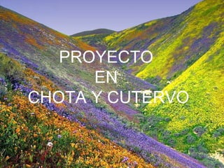 PROYECTO
      EN
CHOTA Y CUTERVO
 