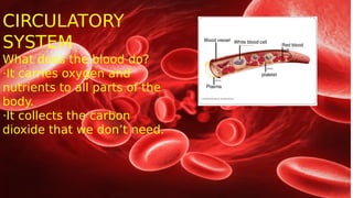 .
CIRCULATORY
SYSTEM
What does the blood do?
·It carries oxygen and
nutrients to all parts of the
body.
·It collects the carbon
dioxide that we don’t need.
 