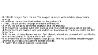 • It collects oxygen from the air. The oxygen is mixed with nutrients to produce
energy.
• It releases the carbon dioxide that our body doesn´t
• 1 First, the air enters through the nose and mouth.
• 2 Then, the air goes down the pharynx and the trachea.
• 3 The trachea is a long tube that divides into two smallest tubes called bronchi.
• 4 The bronchi are divided into lots and lots of bronchioles. The bronchioles are like
branches.
• 5 At the end of bronchioles, we can find alveoli, alveoli are covered with capillaries
(some are covered in blue and some in red)
• 6 In alveoli the exchange of gases takes place. The red capillaries absorb oxygen
and the blue capillaries absorb carbon dioxide.
• 7 Finally, the carbon dioxide is expelled.
 