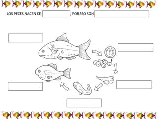 LOS PECES NACEN DE , POR ESO SON .
 