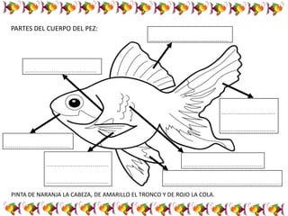 PARTES DEL CUERPO DEL PEZ:
PINTA DE NARANJA LA CABEZA, DE AMARILLO EL TRONCO Y DE ROJO LA COLA.
 