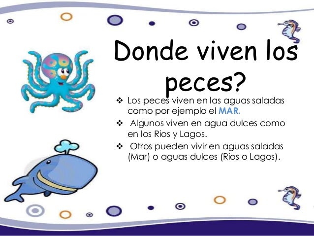 Proyectopedaggicoconociendoelmundomarino 121205140511 Phpapp01