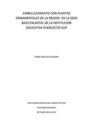 EMBELLECIMIENTO CON PLANTAS
ORNAMENTALES DE LA REGION EN LA SEDE
BAJO PALMITAL DE LA INSTITUCION
EDUCATIVA PUEBLECITO SUR

PEDRO JOSE RUIZ MADERA

INSTITUCION EDUCATIVA PUEBLECITO SUR
SEDE BAJO PALMITAL
OCTUBRE 2012-10-22

 