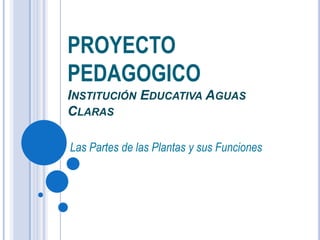 PROYECTO
PEDAGOGICO
INSTITUCIÓN EDUCATIVA AGUAS
CLARAS
Las Partes de las Plantas y sus Funciones

 