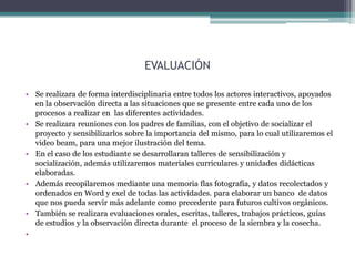 EVALUACIÓN
• Se realizara de forma interdisciplinaria entre todos los actores interactivos, apoyados
en la observación directa a las situaciones que se presente entre cada uno de los
procesos a realizar en las diferentes actividades.
• Se realizara reuniones con los padres de familias, con el objetivo de socializar el
proyecto y sensibilizarlos sobre la importancia del mismo, para lo cual utilizaremos el
video beam, para una mejor ilustración del tema.
• En el caso de los estudiante se desarrollaran talleres de sensibilización y
socialización, además utilizaremos materiales curriculares y unidades didácticas
elaboradas.
• Además recopilaremos mediante una memoria flas fotografía, y datos recolectados y
ordenados en Word y exel de todas las actividades. para elaborar un banco de datos
que nos pueda servir más adelante como precedente para futuros cultivos orgánicos.
• También se realizara evaluaciones orales, escritas, talleres, trabajos prácticos, guías
de estudios y la observación directa durante el proceso de la siembra y la cosecha.
•

 