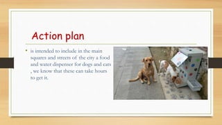 Action plan
? is intended to include in the main
squares and streets of the city a food
and water dispenser for dogs and cats
, we know that these can take hours
to get it.
 