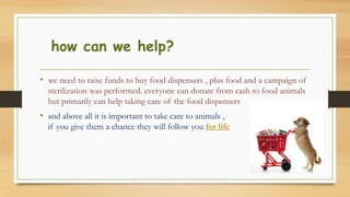how can we help?
? we need to raise funds to buy food dispensers , plus food and a campaign of
sterilization was performed. everyone can donate from cash to food animals
but primarily can help taking care of the food dispensers
? and above all it is important to take care to animals ,
if you give them a chance they will follow you for life
 