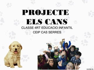 PROJECTE
ELS CANS
CLASSE 4RT EDUCACIO INFANTIL
CEIP CAS SERRES
 