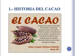 1.- HISTORIA DEL CACAO
 