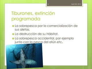 Tiburones, extinción
programada
 La sobrepesca por la comercialización de
sus aletas.
 La destrucción de su Hábitat.
 La sobrepesca accidental, por ejemplo
junto con la pesca del atún etc.
April 28, 20156
 