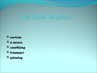 currican
a mosca
carphising
trasmayo
spinning