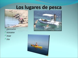 pantano
oceano
mar
rio