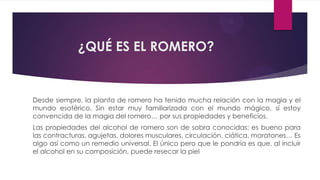 ¿QUÉ ES EL ROMERO?


Desde siempre, la planta de romero ha tenido mucha relación con la magia y el
mundo esotérico. Sin estar muy familiarizada con el mundo mágico, sí estoy
convencida de la magia del romero… por sus propiedades y beneficios.
Las propiedades del alcohol de romero son de sobra conocidas: es bueno para
las contracturas, agujetas, dolores musculares, circulación, ciática, moratones… Es
algo así como un remedio universal. El único pero que le pondría es que, al incluir
el alcohol en su composición, puede resecar la piel
 