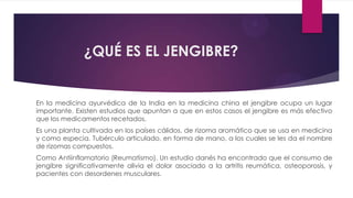 ¿QUÉ ES EL JENGIBRE?


En la medicina ayurvédica de la India en la medicina china el jengibre ocupa un lugar
importante. Existen estudios que apuntan a que en estos casos el jengibre es más efectivo
que los medicamentos recetados.
Es una planta cultivada en los países cálidos, de rizoma aromático que se usa en medicina
y como especia. Tubérculo articulado, en forma de mano, a los cuales se les da el nombre
de rizomas compuestos.
Como Antiinflamatorio (Reumatismo). Un estudio danés ha encontrado que el consumo de
jengibre significativamente alivia el dolor asociado a la artritis reumática, osteoporosis, y
pacientes con desordenes musculares.
 