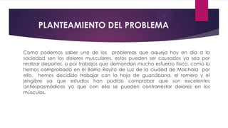 PLANTEAMIENTO DEL PROBLEMA


Como podemos saber uno de los problemas que aqueja hoy en día a la
sociedad son los dolores musculares, estos pueden ser causados ya sea por
realizar deportes, o por trabajos que demandan mucho esfuerzo físico, como lo
hemos comprobado en el Barrio Rayito de Luz de la ciudad de Machala por
ello, hemos decidido trabajar con la hoja de guanábana, el romero y el
jengibre ya que estudios han podido comprobar que son excelentes
antiespasmódicos ya que con ella se pueden contrarrestar dolores en los
músculos.
 