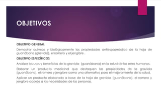 OBJETIVOS

OBJETIVO GENERAL
Demostrar químico y biológicamente las propiedades antiespasmódico de la hoja de
guanábana (graviola), el romero y el jengibre .
OBJETIVO ESPECÍFICOS
Analizar los usos y beneficios de la graviola (guanábana) en la salud de los seres humanos.
Elaborar un producto medicinal que destaquen las propiedades de la graviola
(guanábana), el romero y jengibre como una alternativa para el mejoramiento de la salud.
Aplicar un producto elaborado a base de la hoja de graviola (guanábana), el romero y
jengibre acorde a las necesidades de las personas.
 