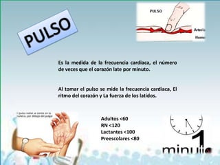 Es la medida de la frecuencia cardiaca, el número
de veces que el corazón late por minuto.


Al tomar el pulso se mide la frecuencia cardiaca, El
ritmo del corazón y La fuerza de los latidos.



                  Adultos <60
                  RN <120
                  Lactantes <100
                  Preescolares <80
 