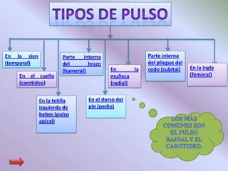 En la sien             Parte   interna                  Parte interna
(temporal)             del       brazo                  del pliegue del
                                          En       la   codo (cubital)    En la ingle
                       (humeral)
    En el cuello                          muñeca                          (femoral)
    (carotideo)                           (radial)


             En la tetilla       En el dorso del
             izquierda de        pie (pedio)
             bebes (pulso
             apical)
 