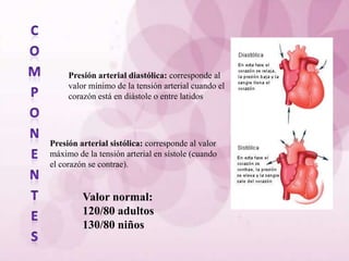 Presión arterial diastólica: corresponde al
     valor mínimo de la tensión arterial cuando el
     corazón está en diástole o entre latidos
     cardíacos.



Presión arterial sistólica: corresponde al valor
máximo de la tensión arterial en sístole (cuando
el corazón se contrae).


         Valor normal:
         120/80 adultos
         130/80 niños
 
