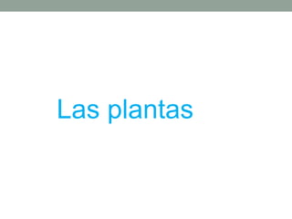 Las plantas
 