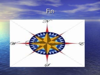 Fin 